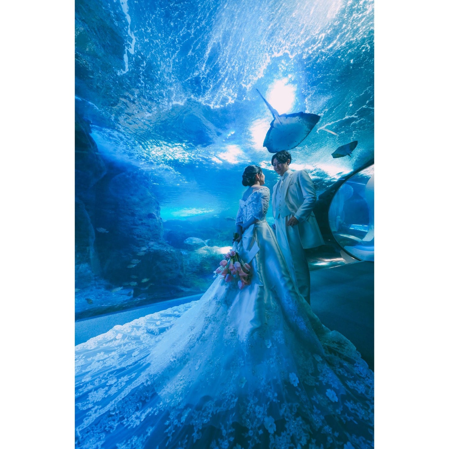 新江ノ島水族館フォトウェディング【結婚式 写真 フォトウェディング】