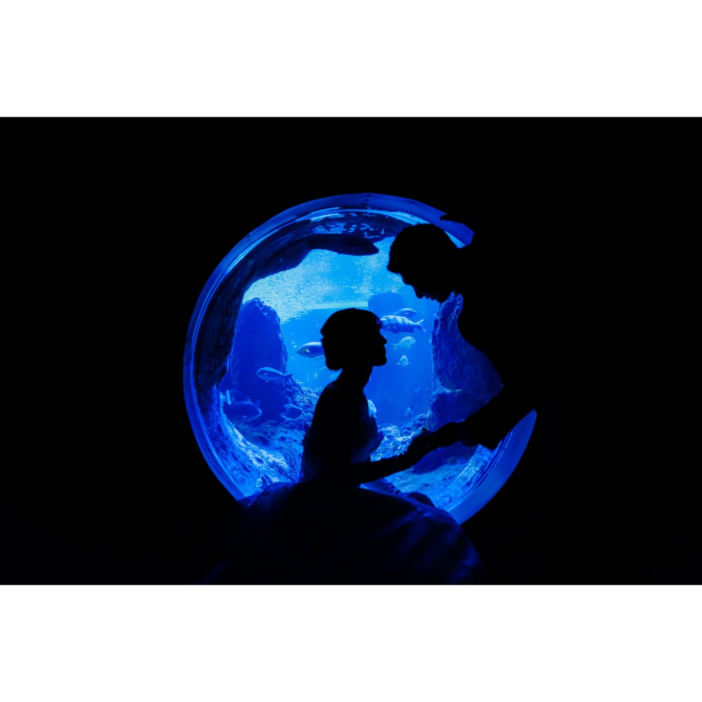 新江ノ島水族館フォトウェディング【結婚式　写真　フォトウェディング】