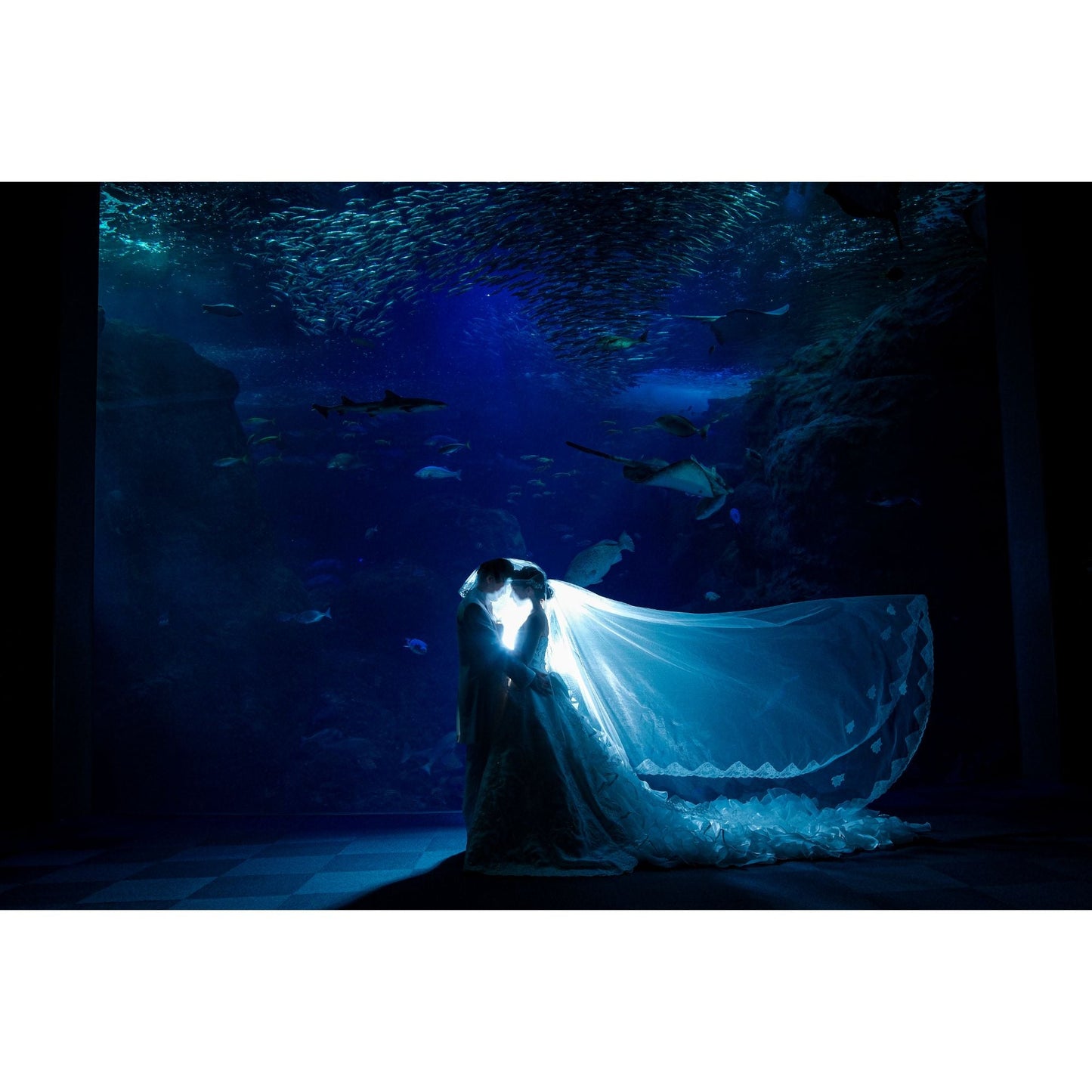 新江ノ島水族館フォトウェディング【結婚式 写真 フォトウェディング】