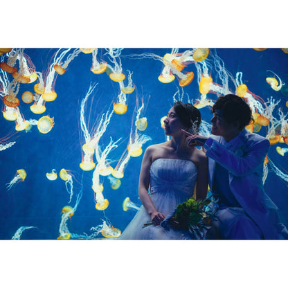 新江ノ島水族館フォトウェディング【結婚式 写真 フォトウェディング】