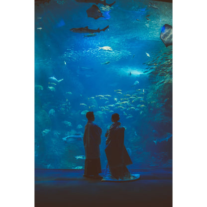 新江ノ島水族館フォトウェディング【結婚式 写真 フォトウェディング】