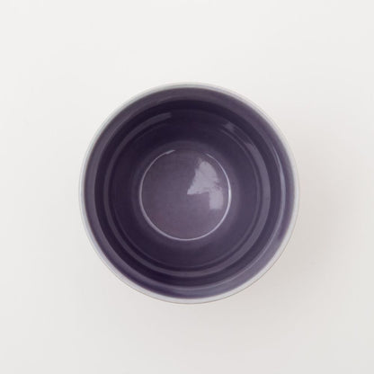 沖縄の海と縁起の良い珊瑚タンブラーペア/紅掛空色【結婚式 引き出物・ギフト】