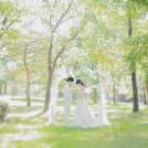 【挙式付】フォトウェディング 大阪府 花博記念公園鶴見緑地 【結婚式 写真 フォトウェディング】