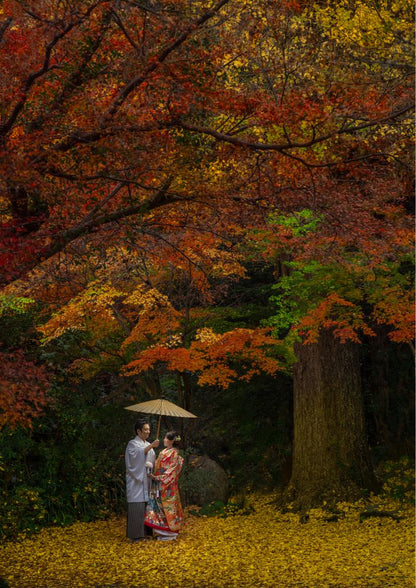 【前撮り】徳島県　イタリアン・アルバム　～タッセーロ～　【結婚式　写真　フォト　撮影】