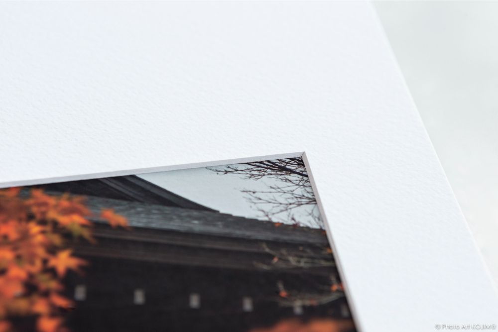 【前撮り】徳島県 イタリアン・アルバム ～Pelle～ 【結婚式 写真 フォト 撮影】