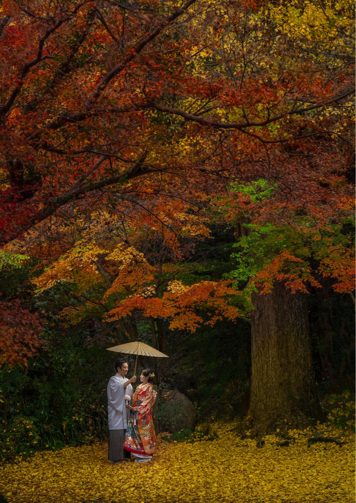 【前撮り&当日撮影】徳島県　イタリアン・アルバム　～タッセーロ～　【結婚式　写真　フォト　撮影】