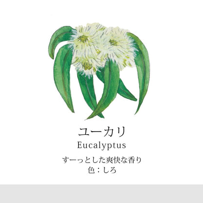 香の具 9色セット 【結婚式 引き出物 ギフト】