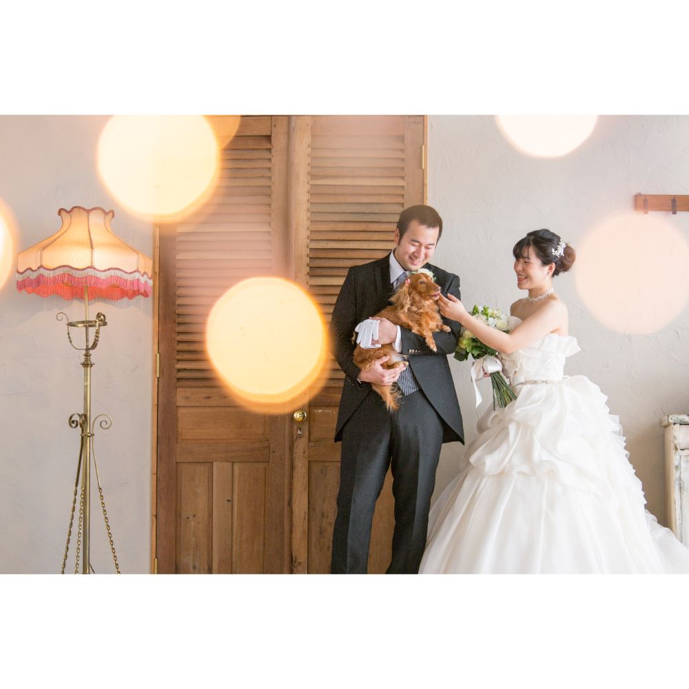 【フォトウェディング】石川県 洋装プラン 【結婚式 写真 フォト 撮影】