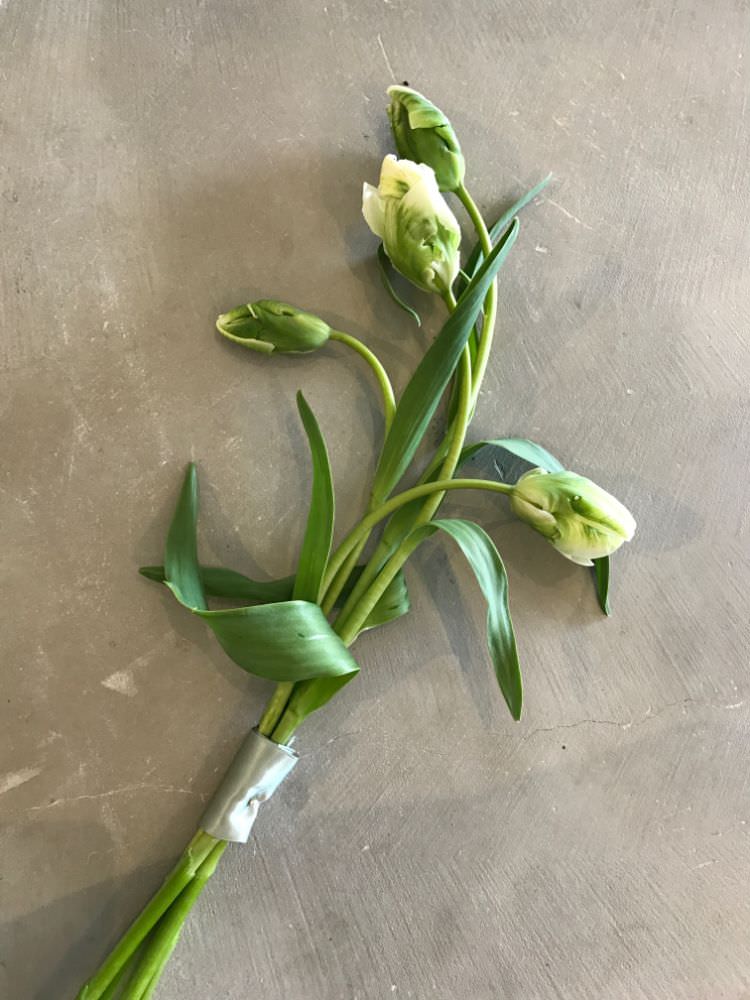 【生花】SIB bouquet natural / white X green 【結婚式 フラワー 生花 ブーケ ブートニア】