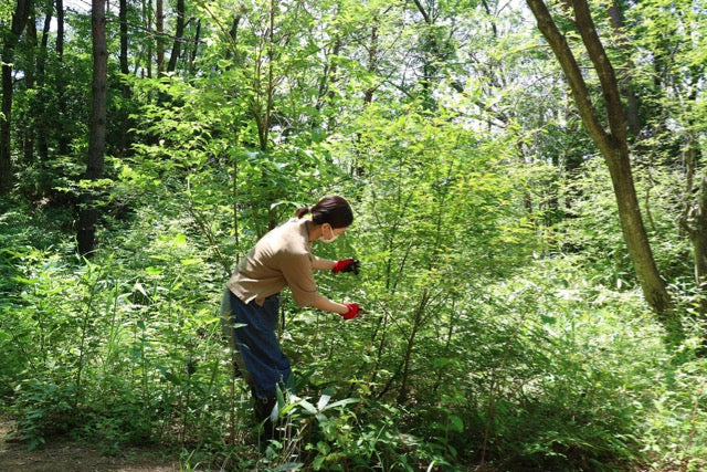 オーガニック石けん「クロモジ」トライアルサイズ 【結婚式 プチギフト 雑貨】