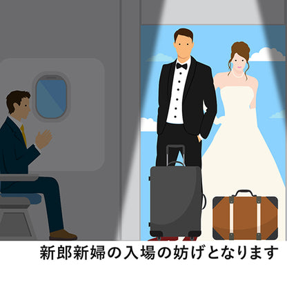 飛行機オープニング【結婚式　ムービー　オープニング】