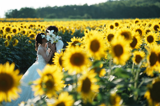 HOKKAIDO洋装プラン【フォトウェディング 前撮り】