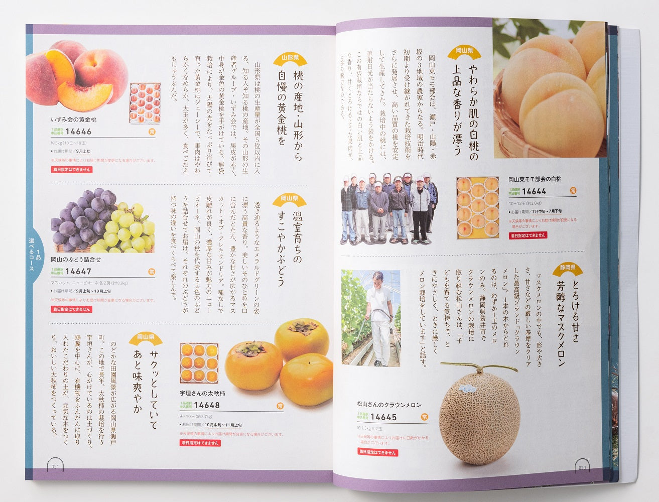 【カタログギフト】うましま ～詩～ 【結婚式 引き出物 カタログギフト】