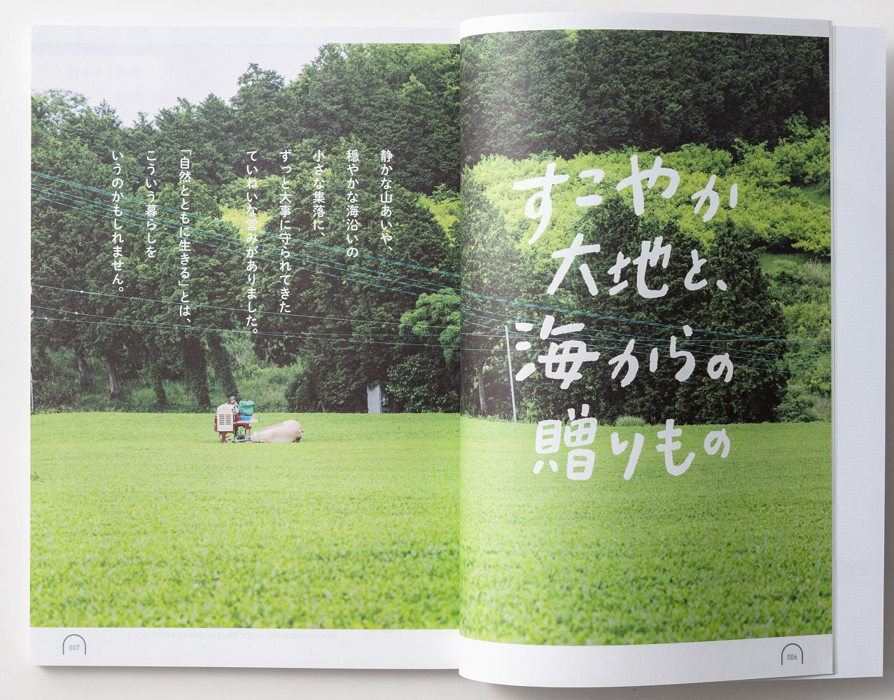 【カタログギフト】うましま ～月～ 【結婚式 引き出物 カタログギフト】