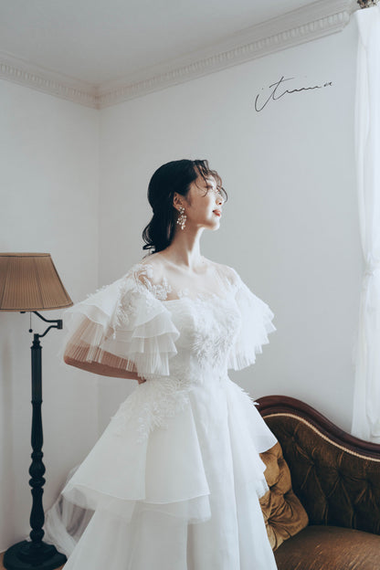 it0034(Swan)