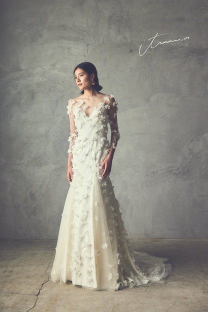 it0046(Aurora)