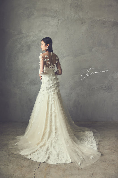 it0046(Aurora)