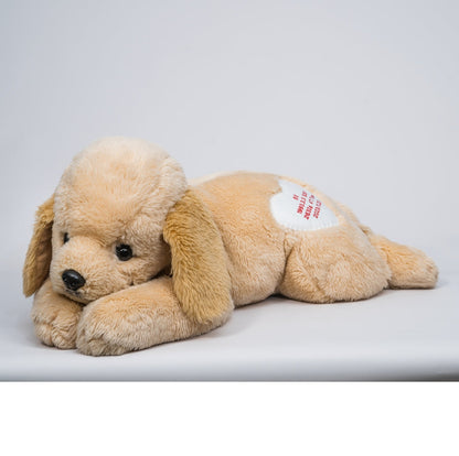 OKINIIRIウェイトドール (スタンダード) 【結婚式 披露宴 ギフト 両親贈呈品 ウェイトドール】