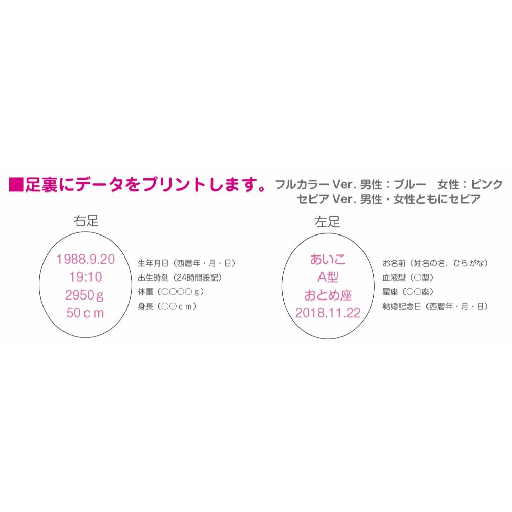 フォトベア・フルカラー. 【結婚式 披露宴 ギフト 両親贈呈品 ウェイトドール】