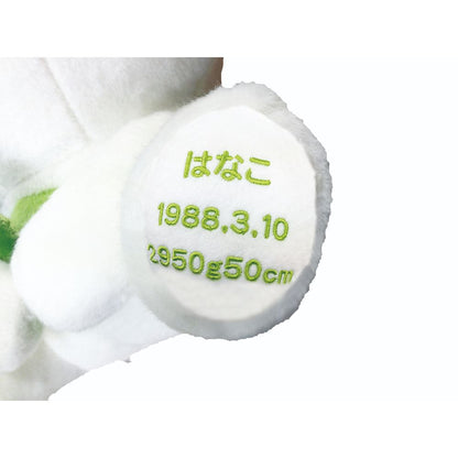 次の日ケロリ 後 (白) 【結婚式 披露宴 ギフト 両親贈呈品 ウェイトドール】