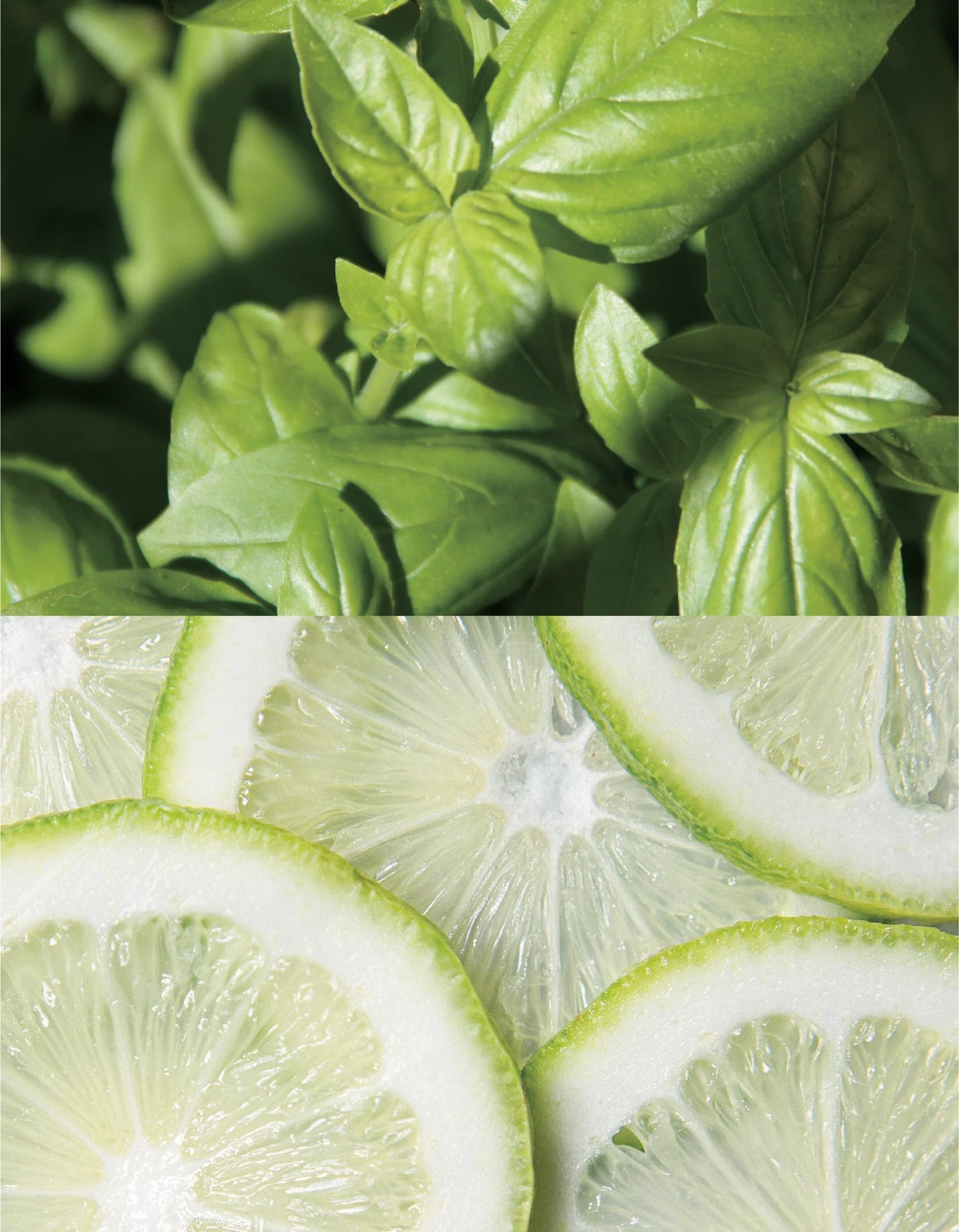 【Aroma Works】WLAL1108　グラス入りキャンドルM/バジル＆ライム【結婚式　ギフト　キャンドル】