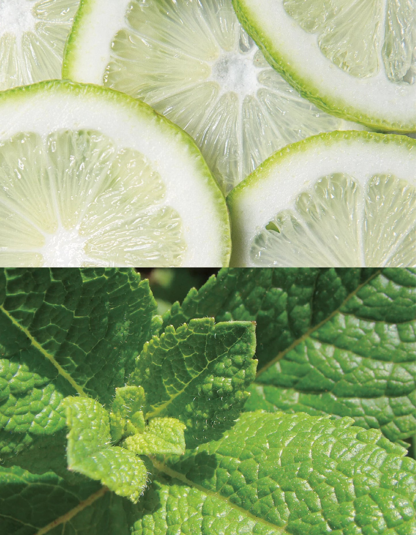 【Aroma Works】WLAL1111　グラス入りキャンドルM/スペアミント＆ライム【結婚式　ギフト　キャンドル】