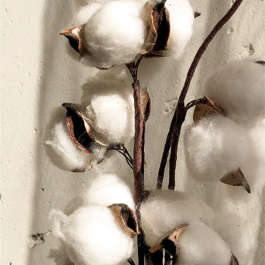 【Homegrown】WLHG0604　ルームミスト100ml/コットンフラワー【結婚式　ギフト　ルームミスト】