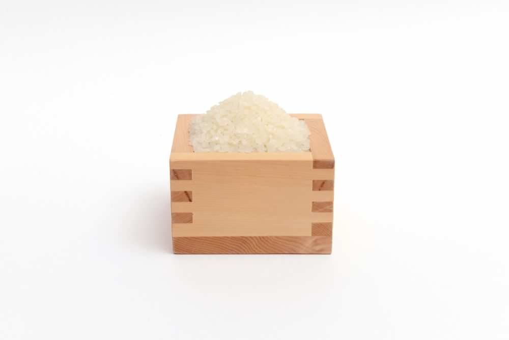 【令和6年産 新米】コシヒカリアモーレ 白米5kg 【結婚式 ギフト 縁起物】