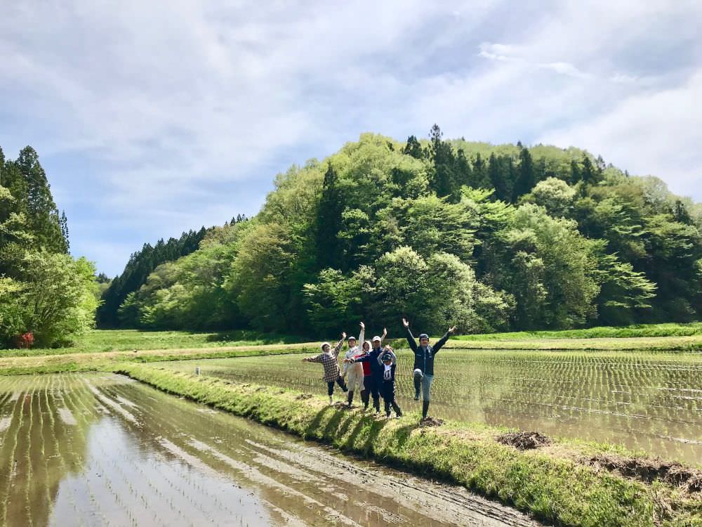 玄米がユメヲミタ×コシヒカリアモーレ (玄米2合/白米2合)セット 【結婚式 ギフト 縁起物】