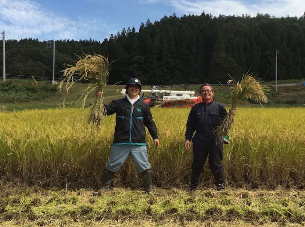 【令和6年産 新米】コシヒカリアモーレ 白米10kg 【結婚式 ギフト 縁起物】