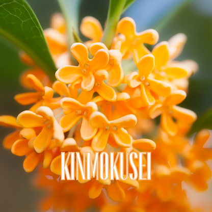 四季アロマキャンドル【Autumn】〈結婚式 引き出物 ギフト〉