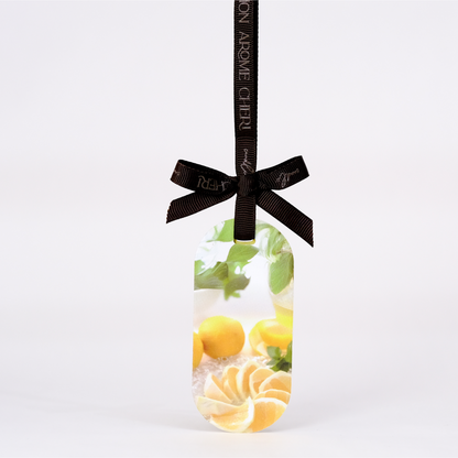 Car Fragrance【Hyuganatsu】〈内祝い ギフト〉