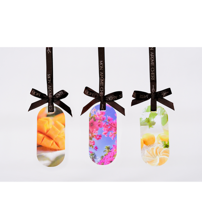 Car Fragrance【Hyuganatsu】〈内祝い ギフト〉