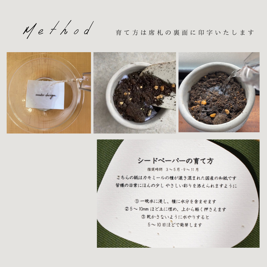 【結婚式 席札】お花の咲く席札seed038【結婚式 ペーパー  席札】