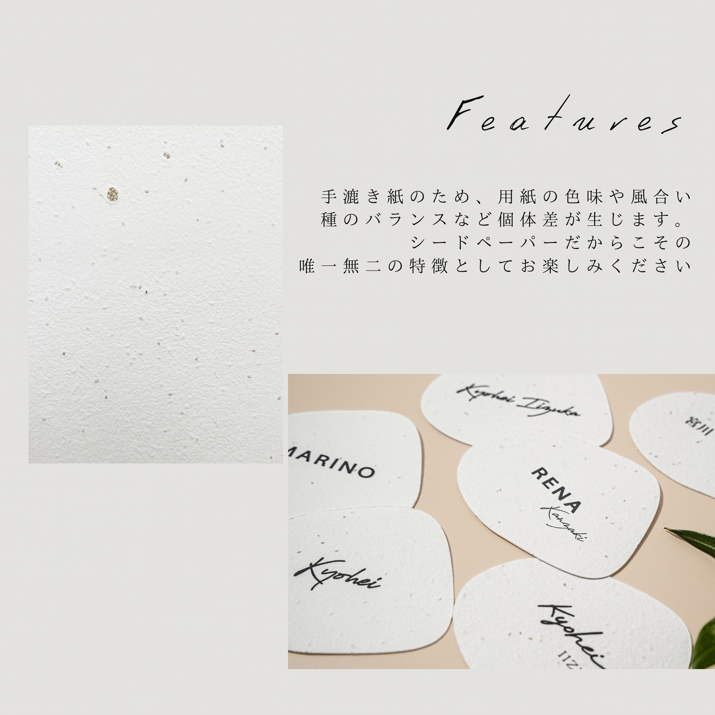 【結婚式 席札】お花の咲く席札seed038【結婚式 ペーパー  席札】