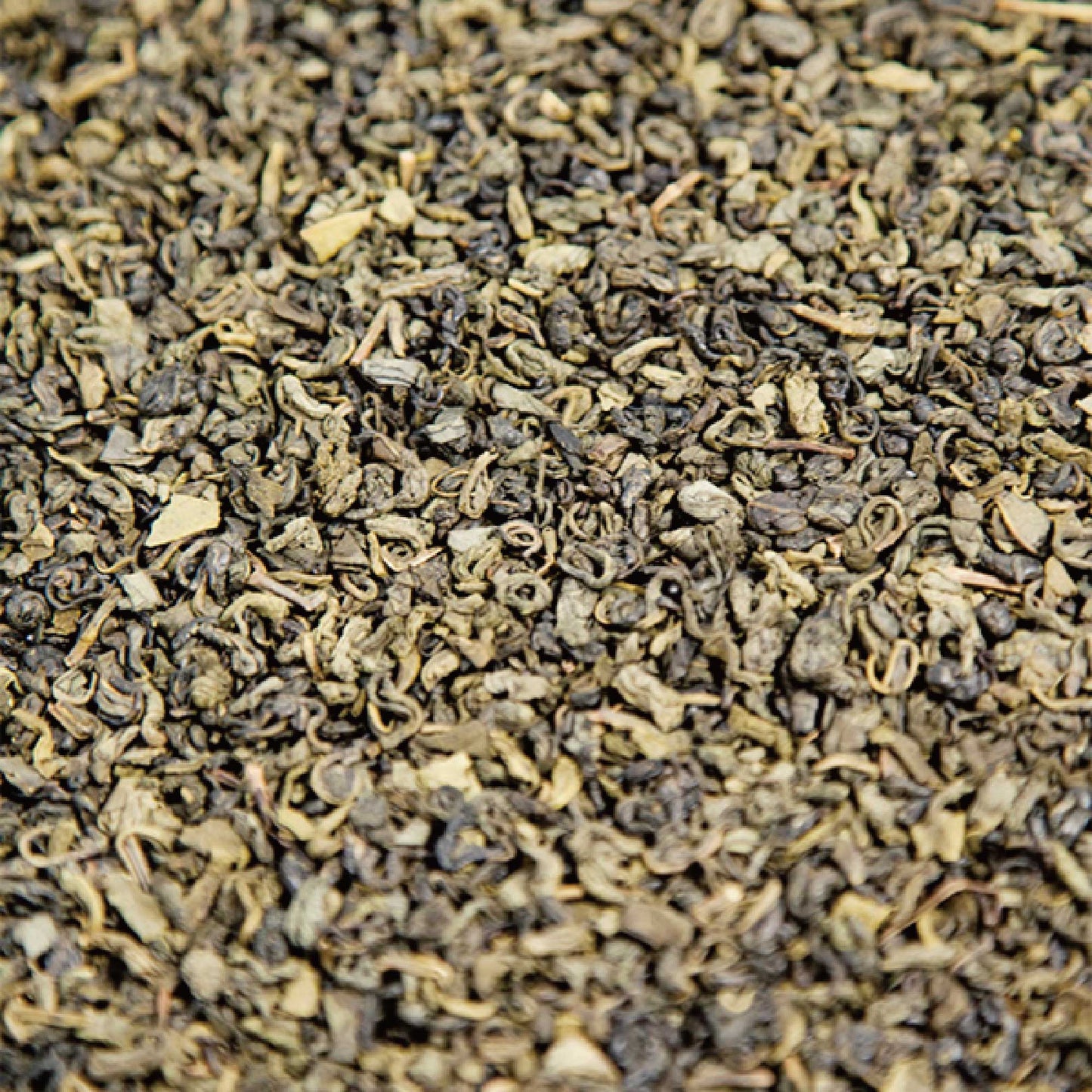 【プチギフト】Queen of Green マッチボックス50パック【オーガニックティー】 【結婚式 プチギフト 飲み物】