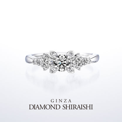 Diamond Grass（ダイヤモンド グラス）