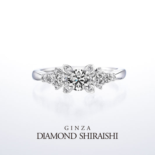 Diamond Grass（ダイヤモンド グラス）