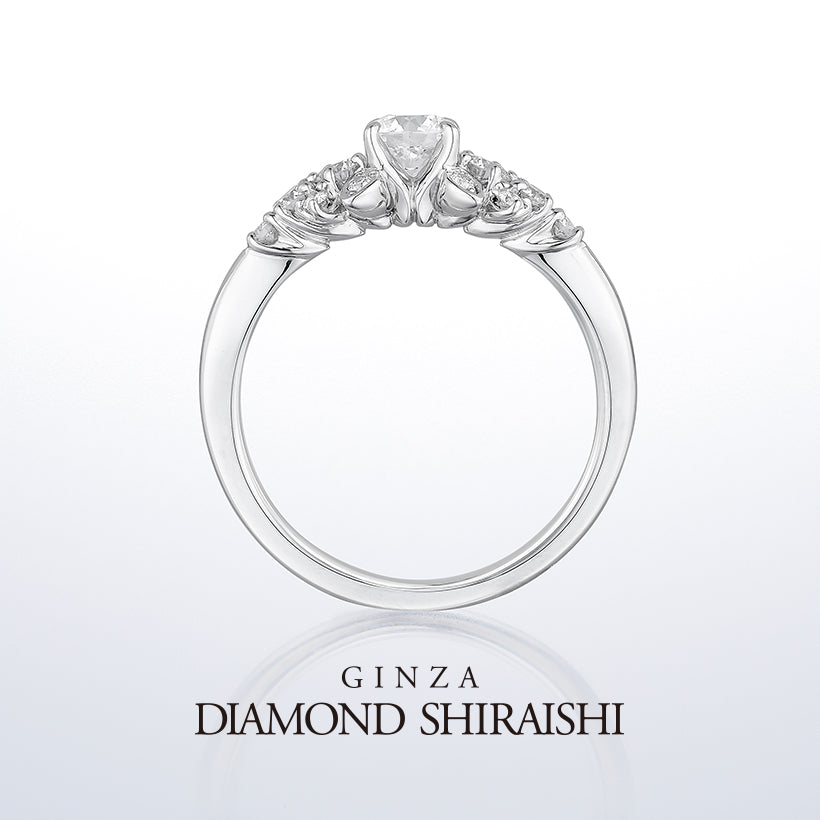 Diamond Grass（ダイヤモンド グラス）