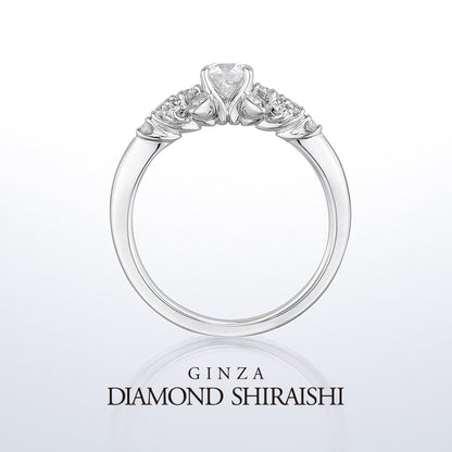 Diamond Grass（ダイヤモンド グラス）