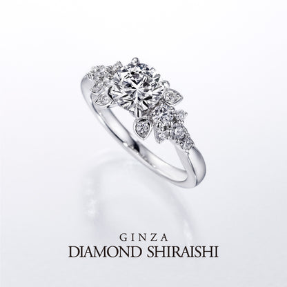 Diamond Grass（ダイヤモンド グラス）