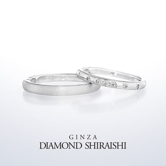 Diamond Grass（ダイヤモンド グラス）