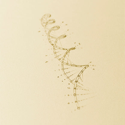 Chance Éternelle（シャンス エターナル）