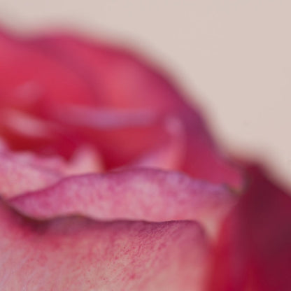 【キャンドル】FRAGRANCE HERBAL CANDLE - MOOD FOR LOVIN' -【結婚式　ギフト　キャンドル】