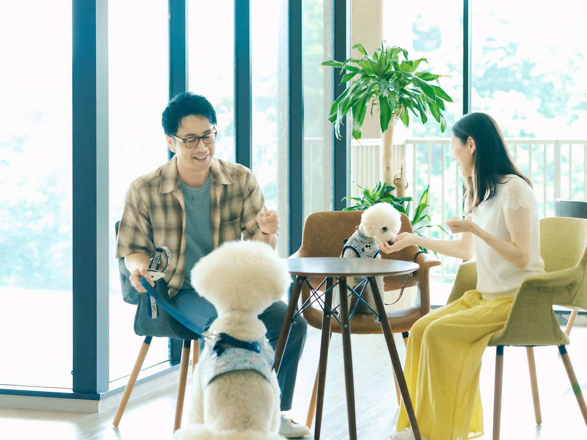 【ペット同伴可ホテルセレクション】ペア宿泊カタログギフト: 200+施設〜