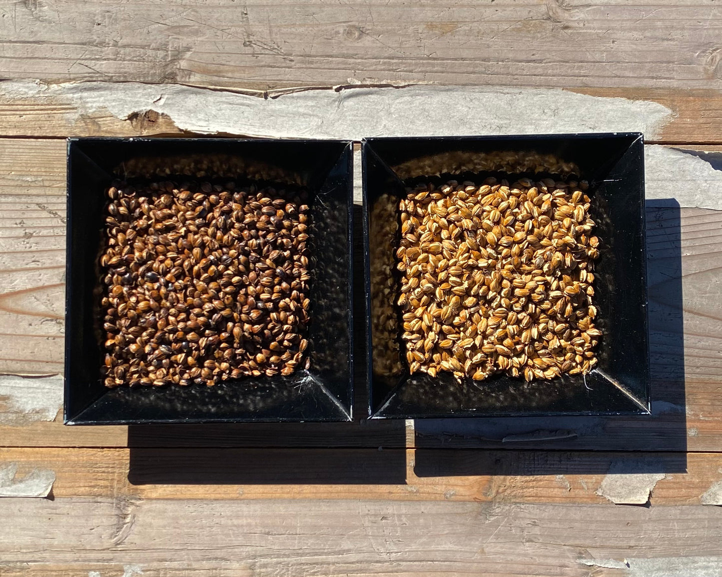 【浅煎り 丸粒麦茶 三角TB 小 15g×5袋】自家焙煎麦茶〔麦茶 お茶 無添加 ギフト 贈答 大容量 人気商品〕