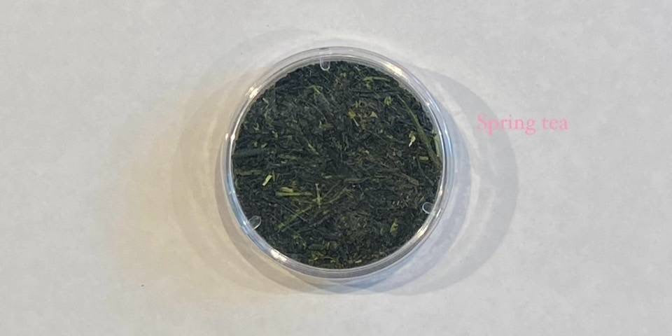 【一三四茶ゆたかみどり 一煎 TEA BAG ver】ゆたかみどり品種 〔お茶 ギフト 贈答〕