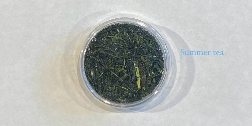 【一三四茶あさつゆ 一煎 TEA BAG ver】あさつゆ品種 〔お茶 ギフト 贈答〕