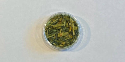 【ゆず緑茶 一煎 TEA BAG ver】ゆずの香りの緑茶 〔お茶 ギフト 贈答〕