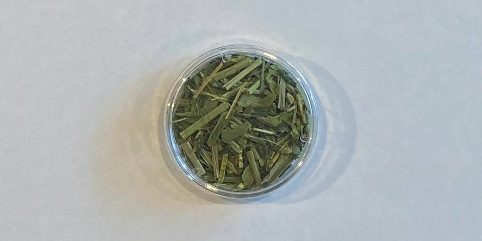 【れもん緑茶 一煎 TEA BAG ver】レモンの香りの緑茶 〔お茶 ギフト 贈答〕